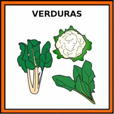 VERDURAS - Pictograma (color)