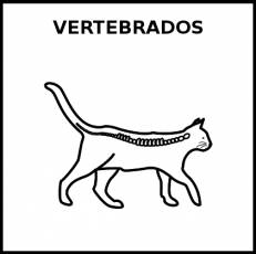 VERTEBRADOS - Pictograma (blanco y negro)
