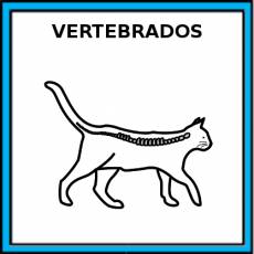 VERTEBRADOS - Pictograma (color)