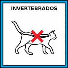 INVERTEBRADOS - Pictograma (color)