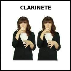 CLARINETE - Signo