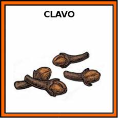 CLAVO (ESPECIA) - Pictograma (color)