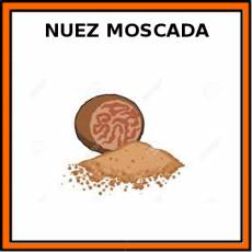 NUEZ MOSCADA - Pictograma (color)