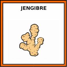 JENGIBRE - Pictograma (color)
