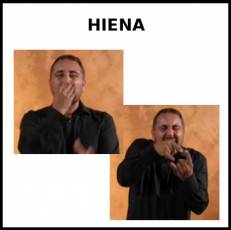 HIENA - Signo