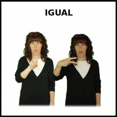 IGUAL (SIGNO) - Signo