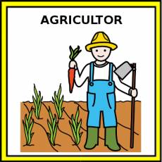 AGRICULTOR - Pictograma (color)