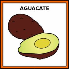 AGUACATE - Pictograma (color)