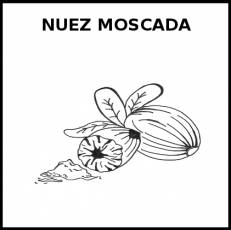 NUEZ MOSCADA - Pictograma (blanco y negro)