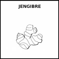 JENGIBRE - Pictograma (blanco y negro)