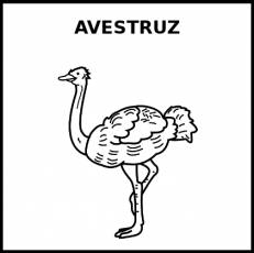 AVESTRUZ - Pictograma (blanco y negro)