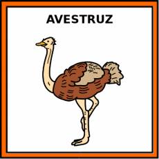 AVESTRUZ - Pictograma (color)