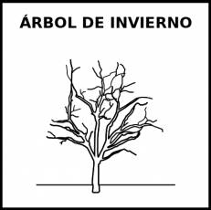 ÁRBOL DE INVIERNO - Pictograma (blanco y negro)
