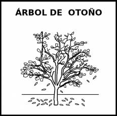 ÁRBOL DE OTOÑO - Pictograma (blanco y negro)