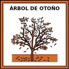 ÁRBOL DE OTOÑO - Pictograma (color)
