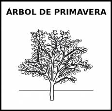 ÁRBOL DE PRIMAVERA - Pictograma (blanco y negro)