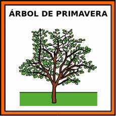 ÁRBOL DE PRIMAVERA - Pictograma (color)