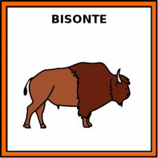 BISONTE - Pictograma (color)