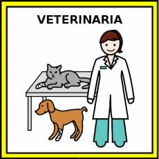 VETERINARIA - Pictograma (color)