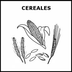 CEREALES - Pictograma (blanco y negro)