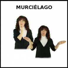 MURCIÉLAGO - Signo