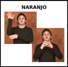 NARANJO - Signo
