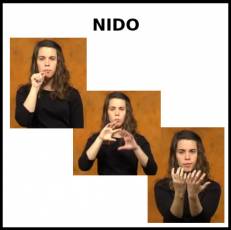 NIDO - Signo