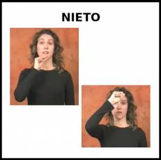 NIETO - Signo