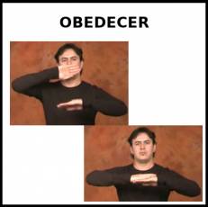 OBEDECER - Signo