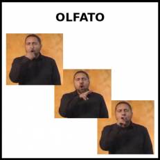 OLFATO - Signo