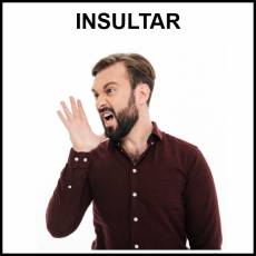 INSULTAR - Foto
