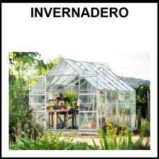 INVERNADERO - Foto