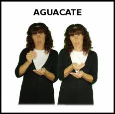 AGUACATE - Signo