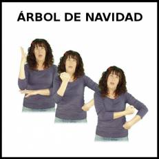 ÁRBOL DE NAVIDAD - Signo