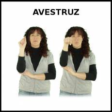 AVESTRUZ - Signo