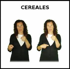 CEREALES - Signo
