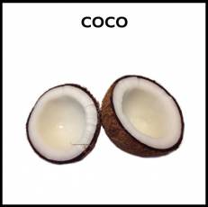 COCO - Foto