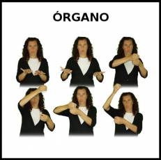 ÓRGANO (INSTRUMENTO) - Signo