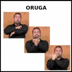 ORUGA - Signo