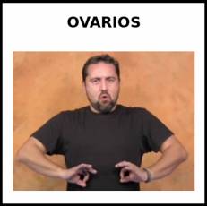 OVARIOS - Signo