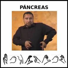 PÁNCREAS - Signo