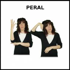 PERAL - Signo