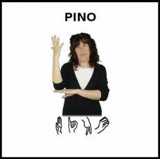 PINO - Signo