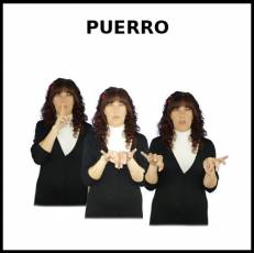PUERRO - Signo