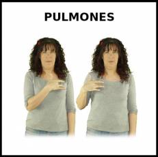 PULMONES - Signo