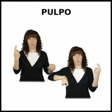 PULPO - Signo