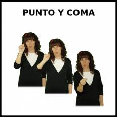 PUNTO Y COMA - Signo