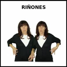 RIÑONES - Signo