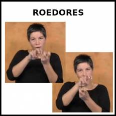 ROEDORES - Signo
