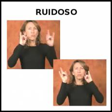 RUIDOSO - Signo